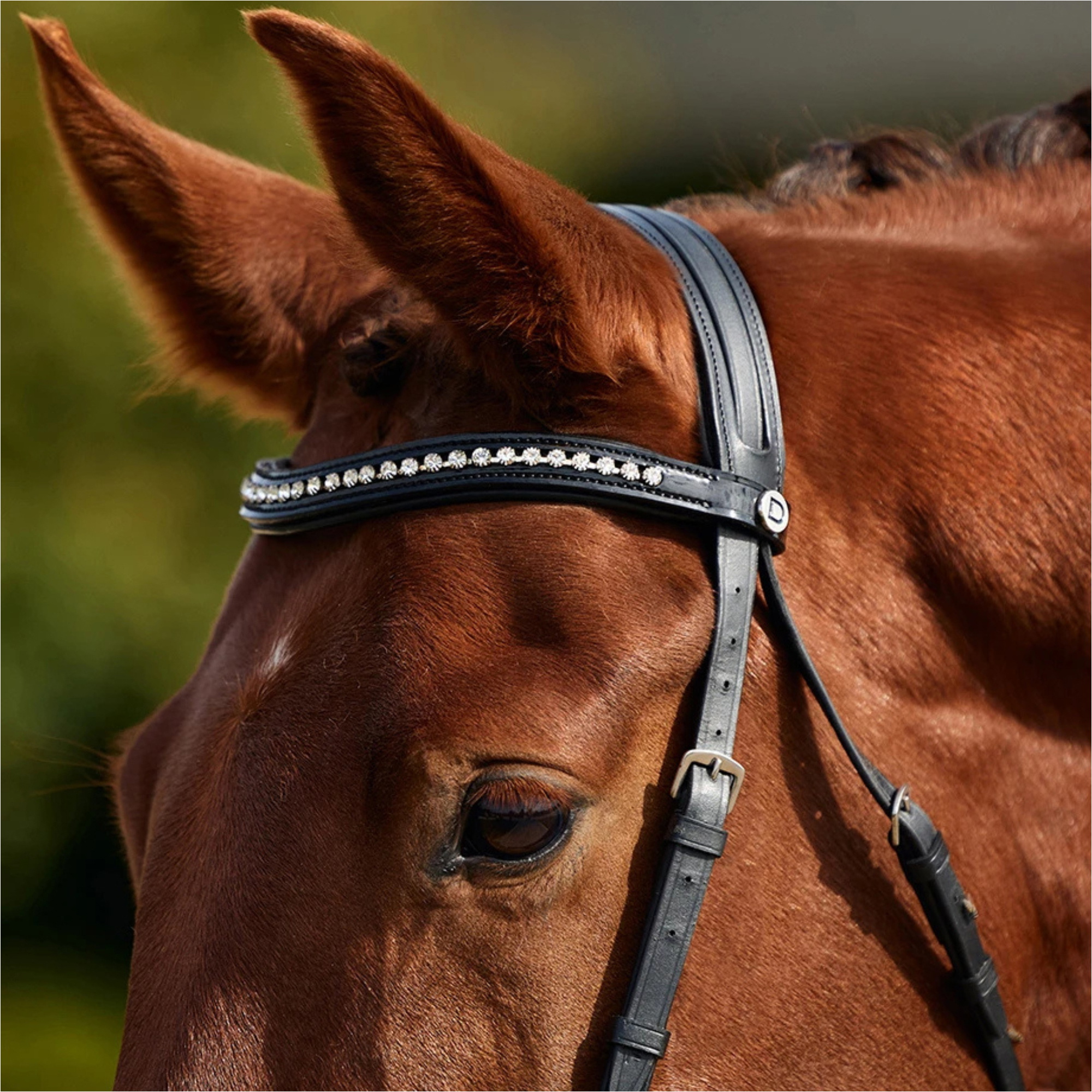 2026 Dublin Gevoerde Comfort Kroon Octrooi Flash Bridle 1031499 - Black